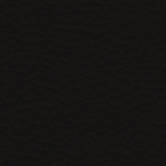 VINYL LINE 荔枝紋皮革 - DOLLAR