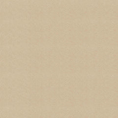 VINYL LINE 珠光皮革 - DUPIONI