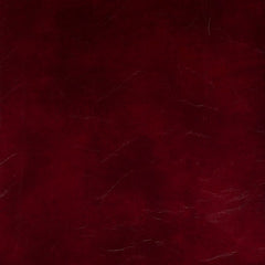 VINYL LINE 珠光皮革 - MEMORY