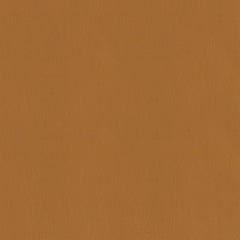 VINYL LINE 平紋皮革 - NAPPA