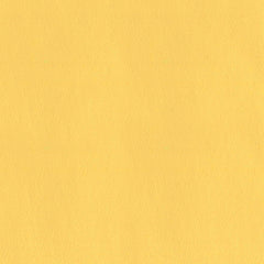 VINYL LINE 平紋皮革 - NAPPA