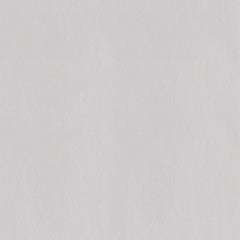 VINYL LINE 平紋皮革 - NAPPA