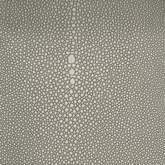 FABRIC LINE 特色紋理 - STINGRAY